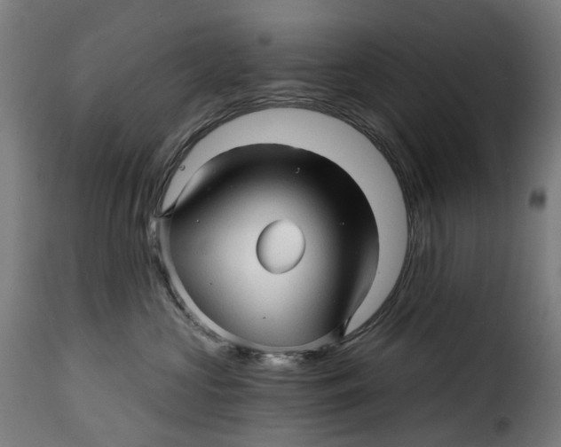 X0000115270573200911201731