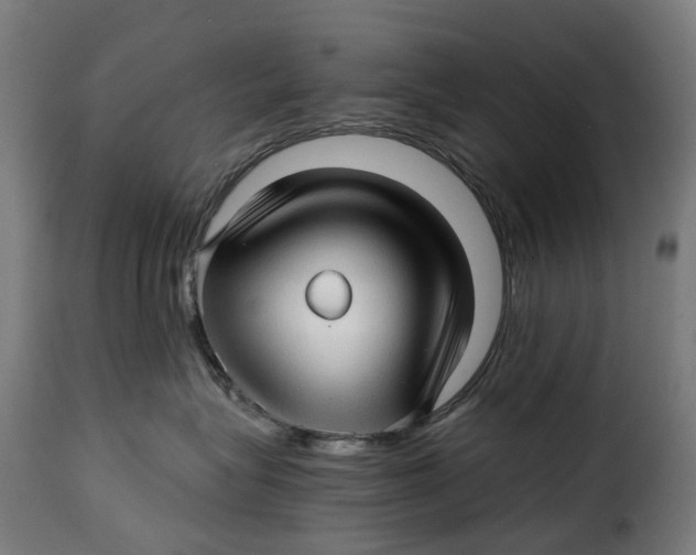 X0000115270575200911201731
