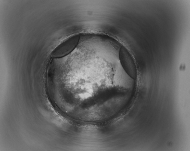 X0000115270577200911201731