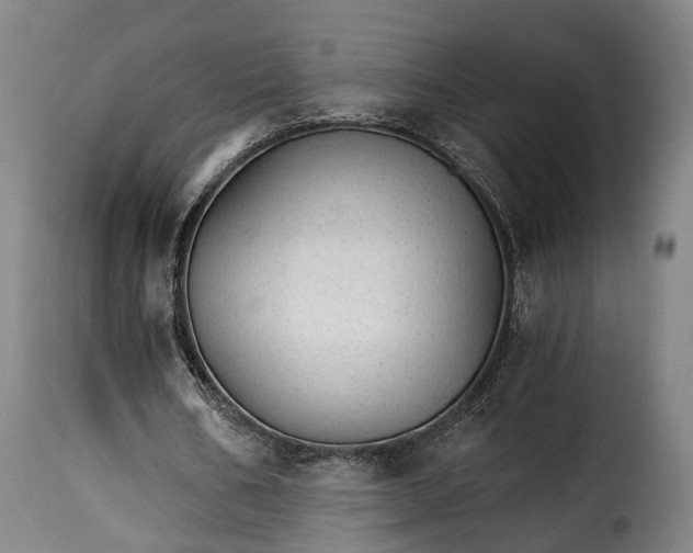 X0000115270578200911201731