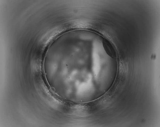 X0000115270581200911201731