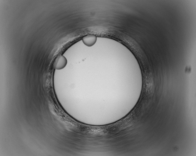 X0000115270583200911201731