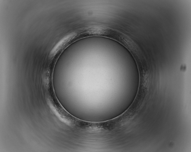 X0000115270586200911201730