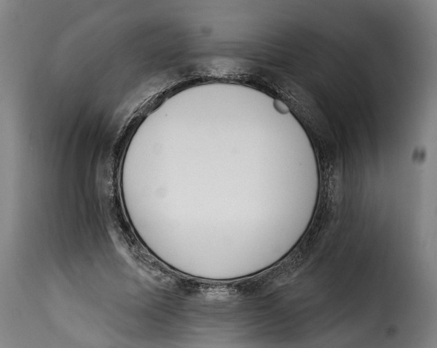 X0000115270587200911201730