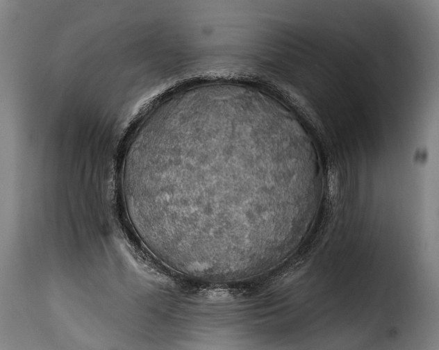 X0000115270588200911201730