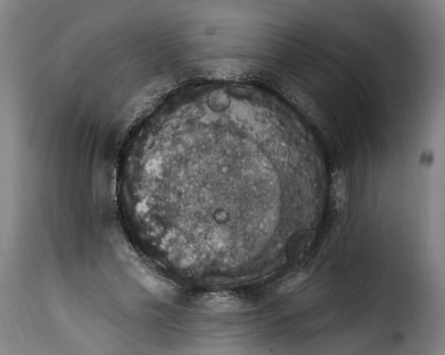 X0000115270589200911201730