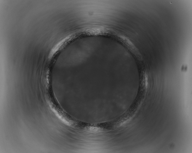X0000115270590200911201730