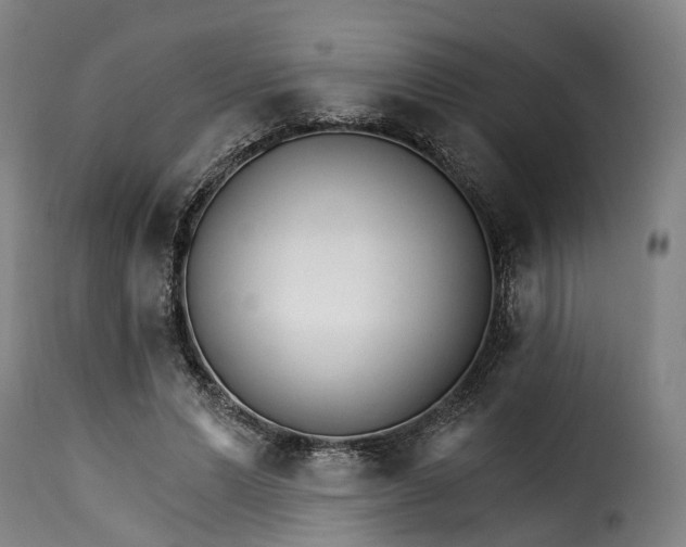 X0000115270591200911201730