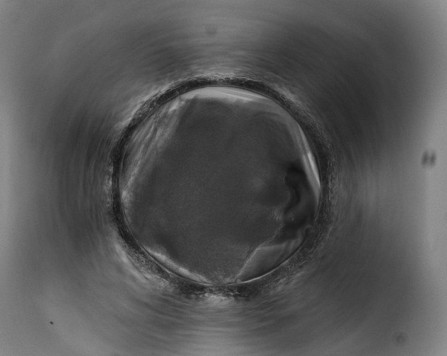 X0000115270592200911201730