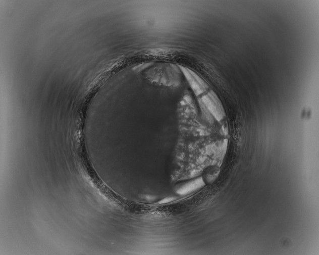 X0000115270593200911201730