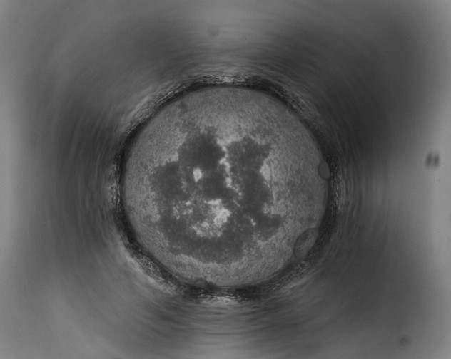 X0000115270594200911201730