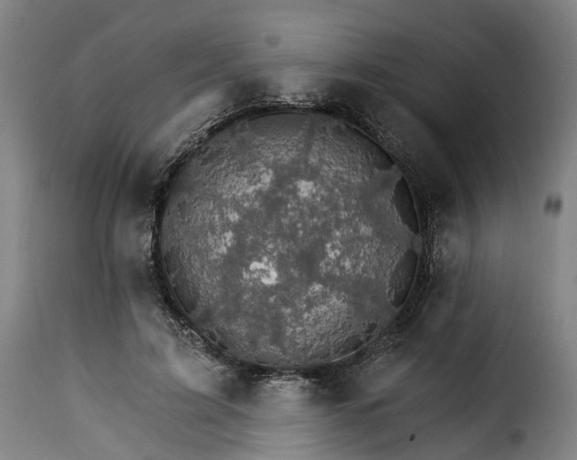 X0000115270595200911201730