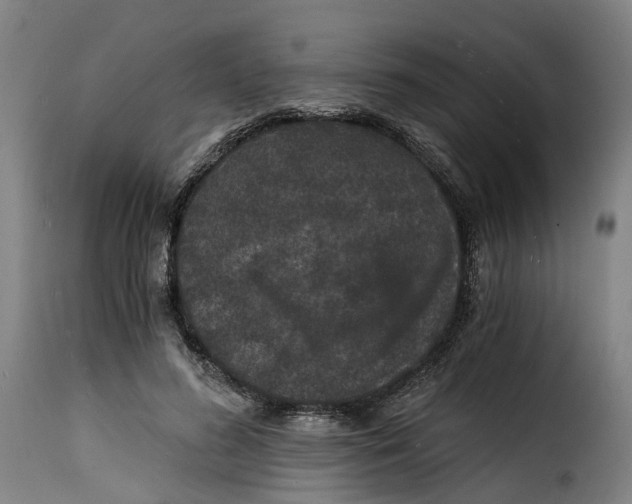 X0000115270596200911201730