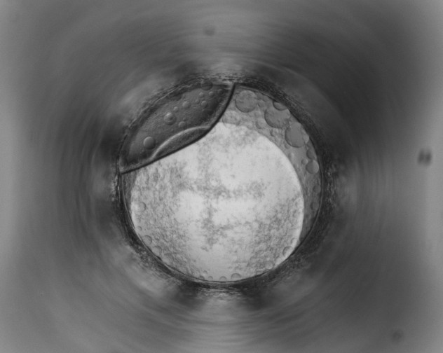 X0000115270597200911201730