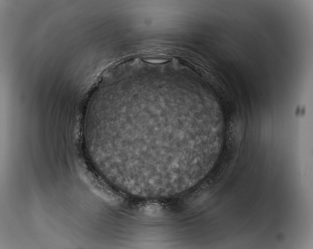X0000115270600200911201730
