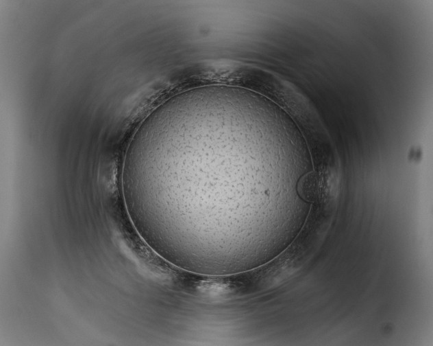 X0000115270602200911201730