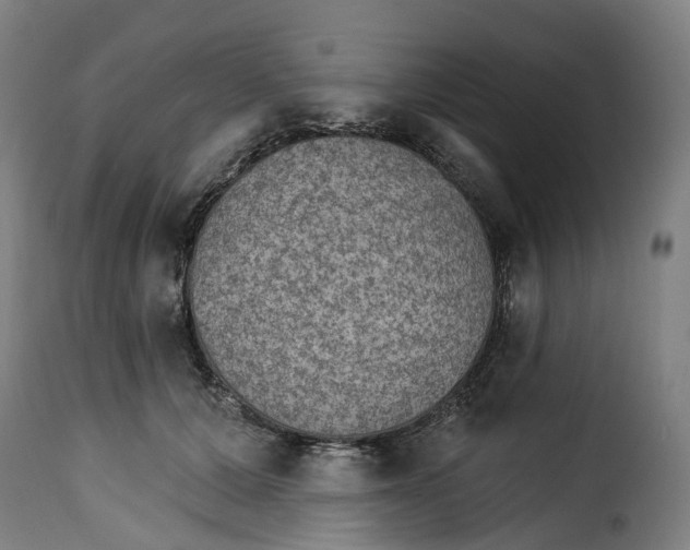 X0000115270607200911201730