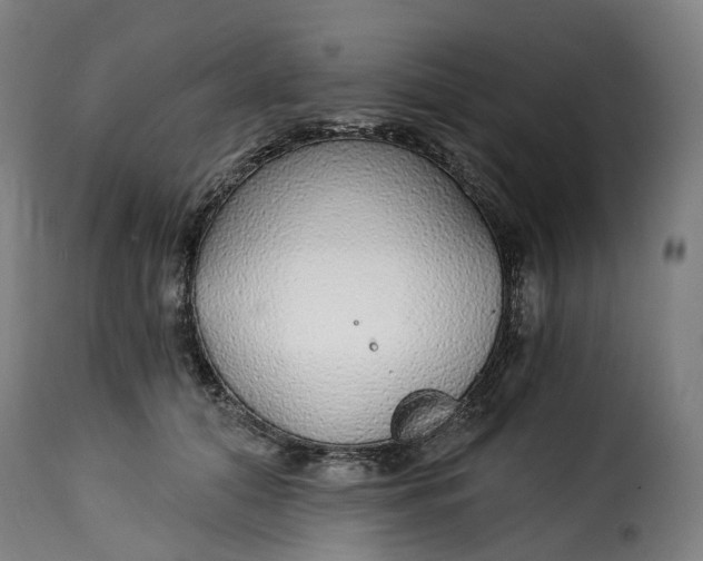 X0000115270608200911201730