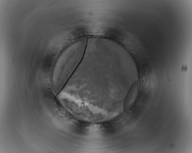 X0000115270609200911201730