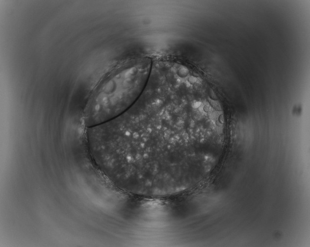 X0000115270611200911201730