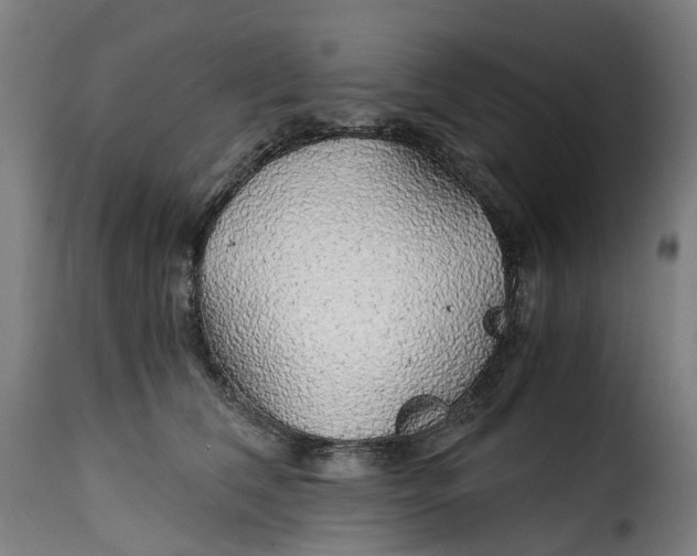 X0000115270612200911201730