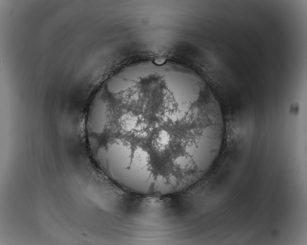 X0000115270613200911201730