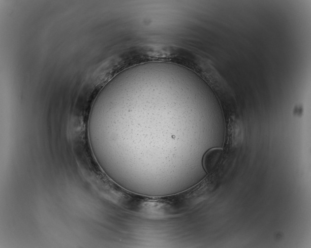 X0000115270614200911201730