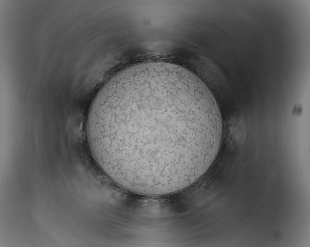 X0000115270615200911201730