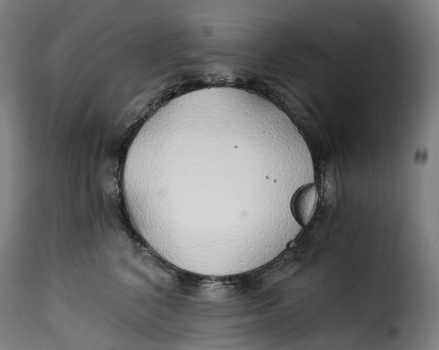 X0000115270616200911201730