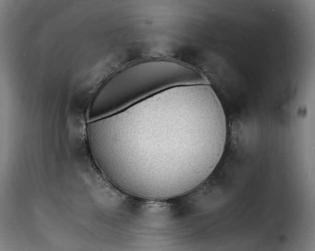 X0000115270617200911201730