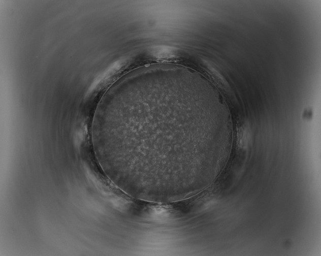 X0000115270618200911201730