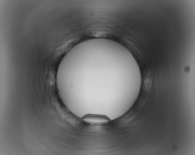 X0000115270620200911201730
