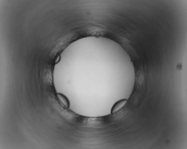 X0000115270622200911201730