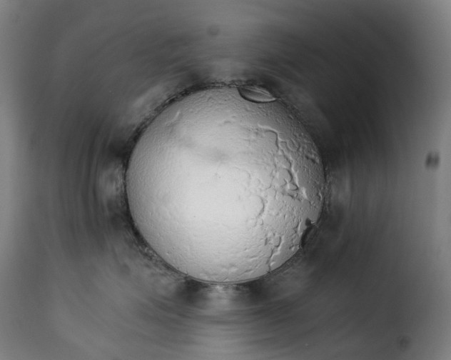 X0000115270623200911201730