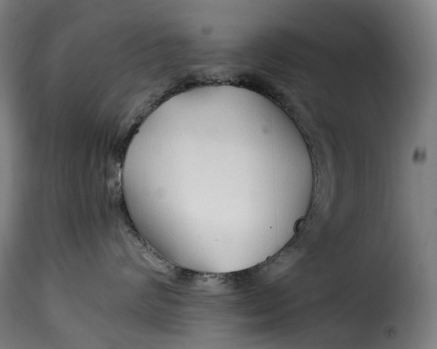 X0000115270624200911201730