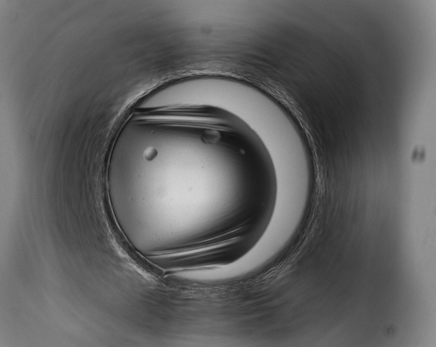 X0000115270625200911201729