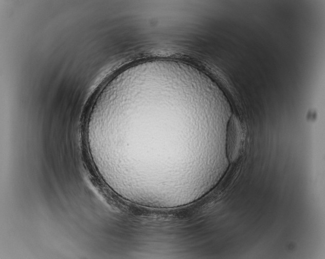 X0000115270626200911201729