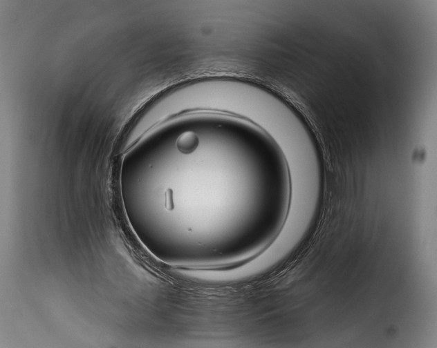 X0000115270627200911201729
