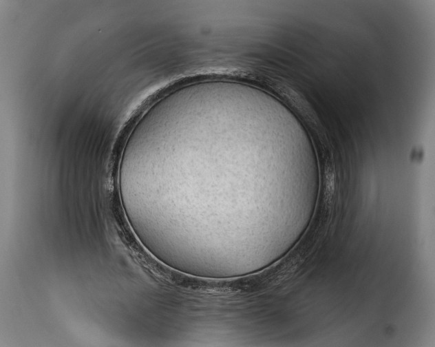 X0000115270628200911201729