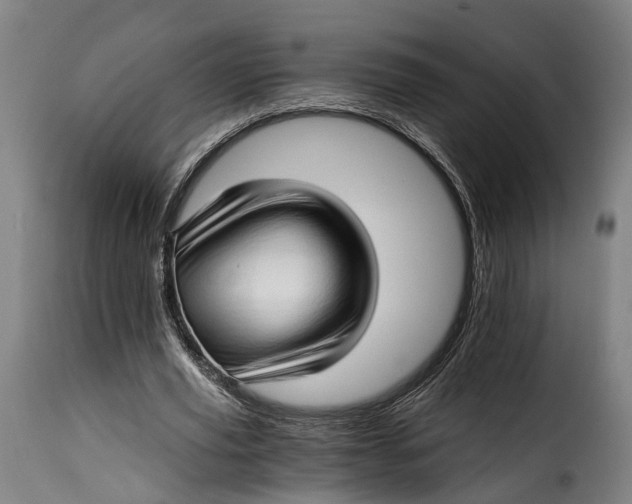 X0000115270629200911201729