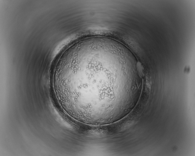 X0000115270630200911201729