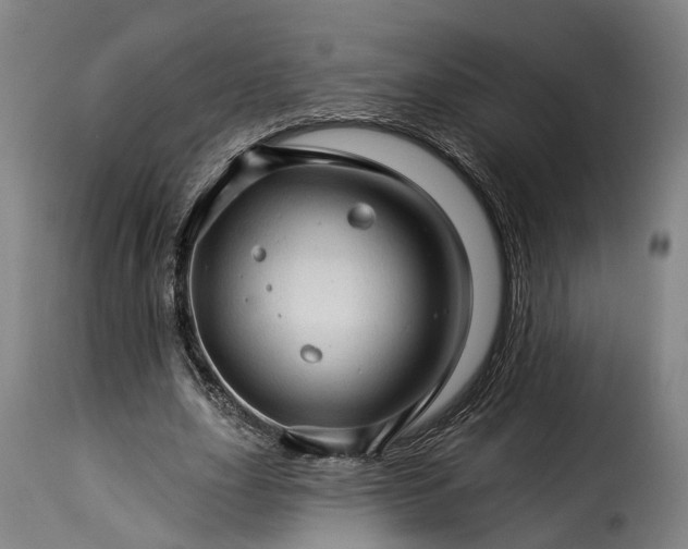 X0000115270631200911201729
