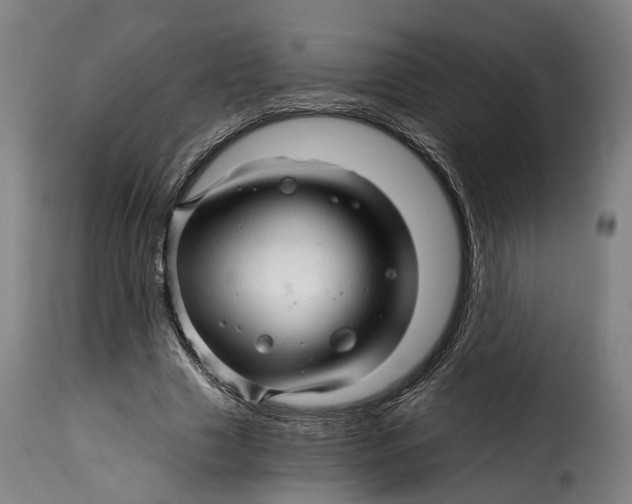 X0000115270633200911201729