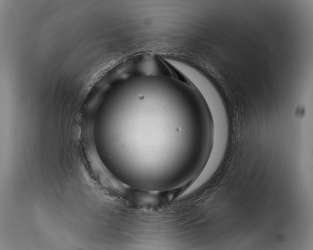 X0000115270635200911201729
