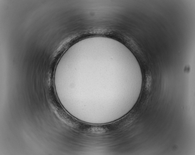 X0000115270636200911201729