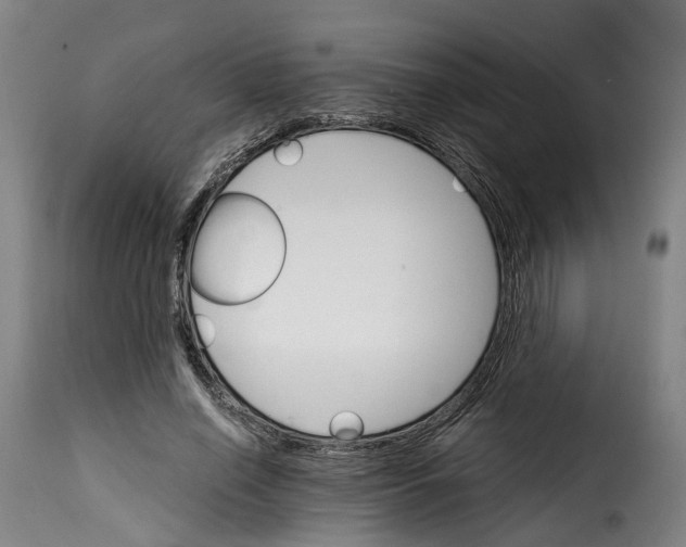X0000115270638200911201729