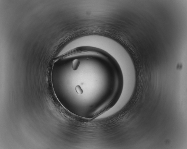 X0000115270639200911201730
