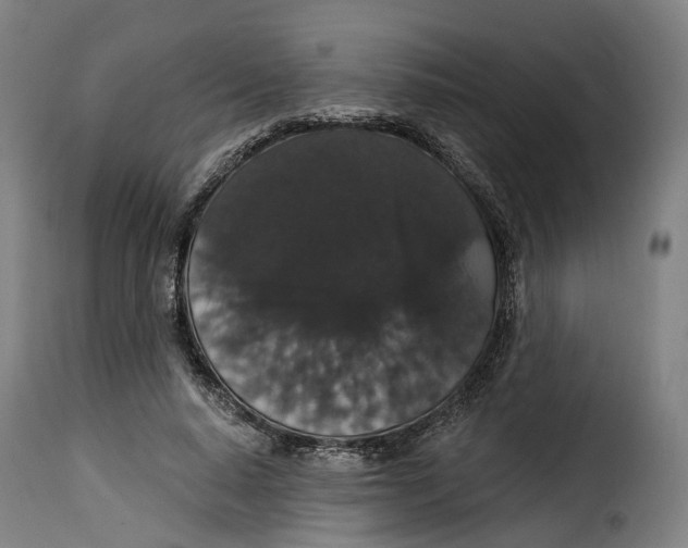 X0000115270640200911201730