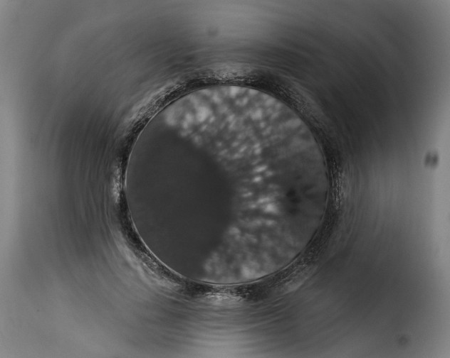 X0000115270644200911201730