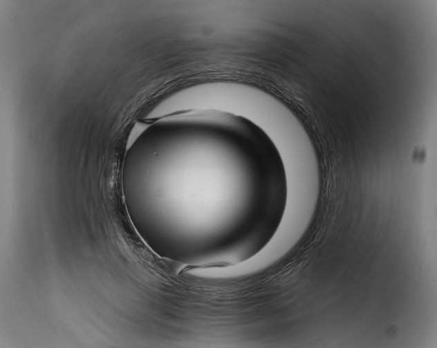 X0000115270645200911201730